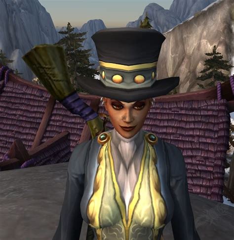 Curious top hat wow 7 (near the Skinning banner in the Artisan's Market)
