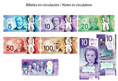 Dólar canadiense a peso argentino western union 66 071 Argentine Pesos