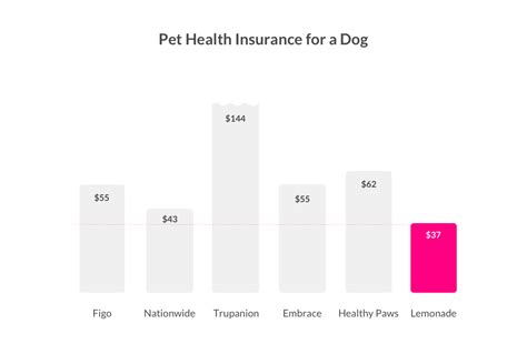 D b i pet insurance  With PD Insurance, you have the option to choose your excess value, which can be set at $100, $200, or $300