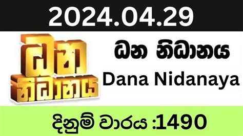 Dana nidanaya 1177  Lucky 7 08-12-2023 148