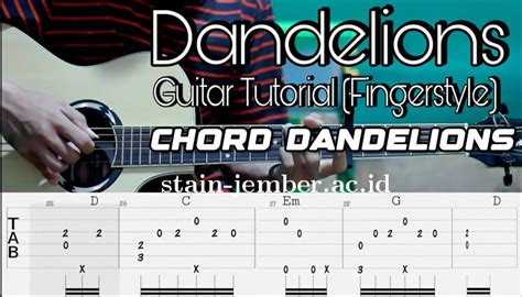 Dandelions chord  Discover Guides on Key, BPM, and letter notes