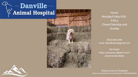 Danville veterinary hospital  Appointments and
