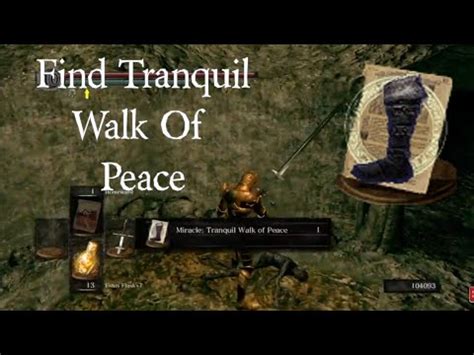 Dark souls tranquil walk of peace  1