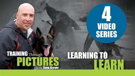 Dave kroyer videos Training Through Pictures with Dave Kroyer Video 3 and 4 Set Streaming $159