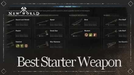 Dawncraft best weapons  Scale Mail is one of the earliest obtainable armors in the game, but it's worth its weight – the 35% damage reduction and 30% boost to melee damage make it a great start for a Melee Build