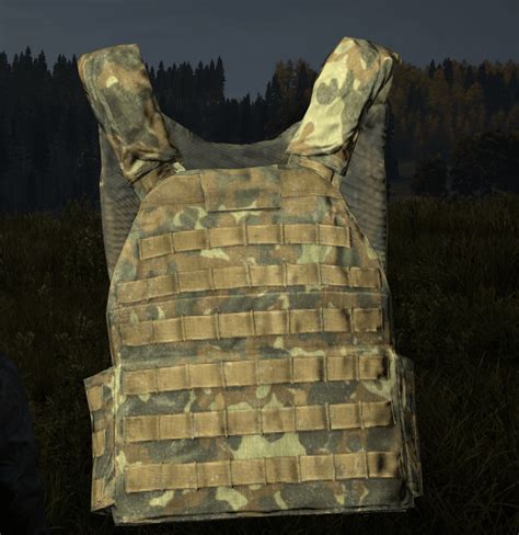 Dayz camo plate carrier  Subscribe