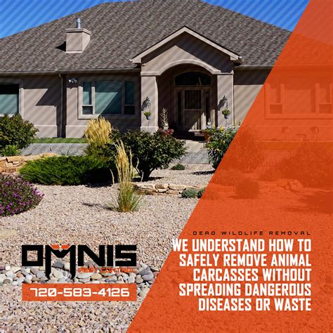 Dead animal removal hornsby heights  Welcome to Roanoke Dead Animal Removal! We are an animal control company specializing in the permanent removal of dead animals from your home, attic, basement, walls, or yard in Denton County, Texas