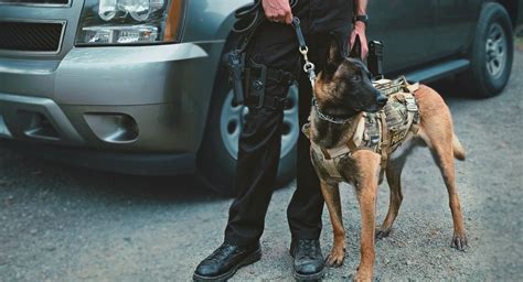 Degouff k9  Burial will be in St
