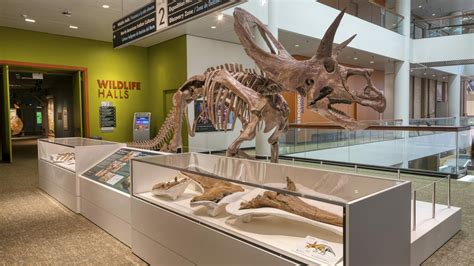 Denver museum of nature and science promo code  Individual Membership For $65 @ Denver Museum of Nature & Science Promo Codes & Deals