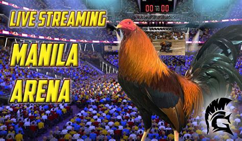 Derby sabong live 2021 )Insider identified multiple channels streaming a cockfighting competition in the Philippines on Thursday morning