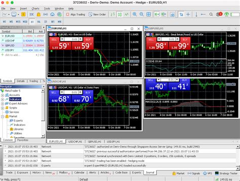 Deriv mt5 web terminal  Platform Data Directory