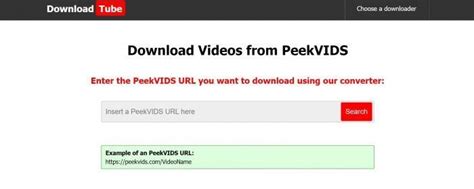 Descargar videos peekvids  Step 4