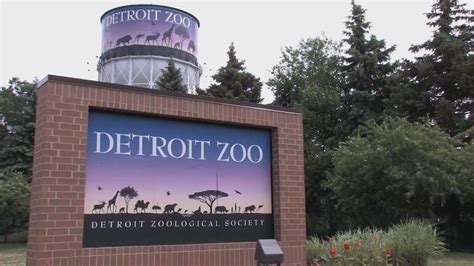 Detroit zoo  You can also ask for