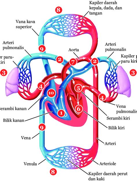 Diaforetika adalah Gelap belum tentu gulita, terang pun belum tentu benderang