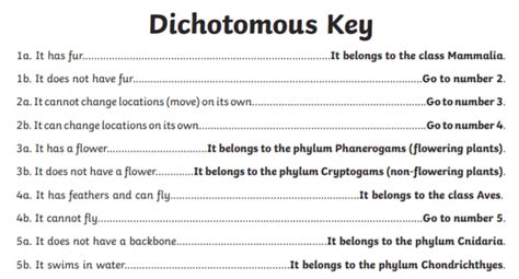 Dichotomous key creator  1