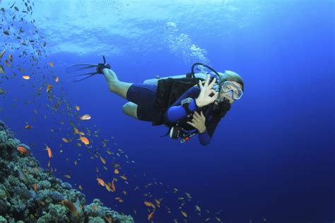 Disabled scuba bali  This certification is recognized all over the world and