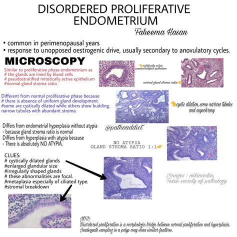 Disordered proliferative phase endometrium  The uterine cycle is divided into three phases: the menstrual phase