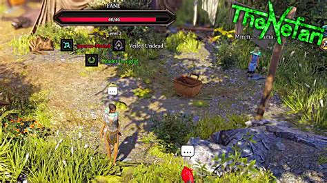 Divinity 2 unnis 2014 • 6050 Items • Console name (cheats)