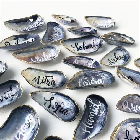 Diy mussel shell escort cards Mussel Shells (25) 2-2