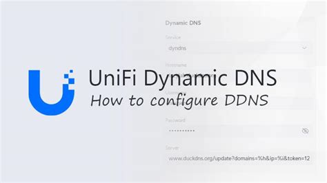 Dns problemer firi  Skift standard DNS-server på din Windows-computer