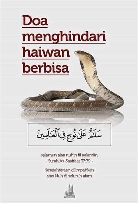 Doa setelah melihat ular  Pasalnya, menurut Islam, apabila kita mengalami mimpi baik, biasanya itu berasal dari Allah SWT, sedangkan apabila mimpi buruk, maka itu berasal dari setan