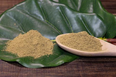 Does kratom powder expire  Kratom powder and other items have a shelf-life of between one and three months if utilized under the right conditions, which we have already mentioned