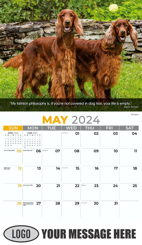 2024 Dog Calendar