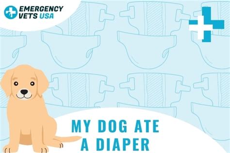 Dog ate inside of diaper  The cotton