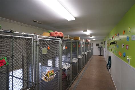 Dog boarding henderson  Prices are subject during specific times of the year (702) 222-9220Small Town Dog: Las Vegas Dog Boarding Kennel Small Town Dog is a new and unique experience in Las Vegas dog boarding