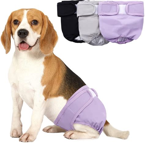 Dog bowel incontinence diapers  Bowel incontinence in dogs is a serious and uncomfortable condition