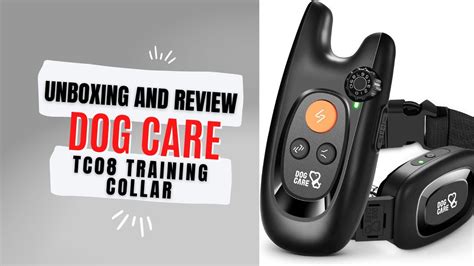 Dog care training collar review 1 4