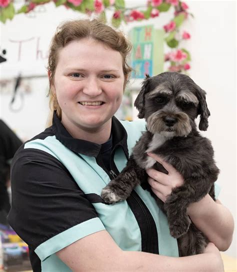 Dog groomer valpo 108 Pet Care Jobs jobs available in Valpo, IN 46385 on Indeed