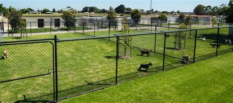 Dog kennels northern suburbs melbourne  This includes time we worked together at the Lort Smith Animal Hospital, caring