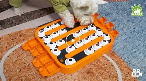 Dog puzzle toys level 4  600+ bought in past month