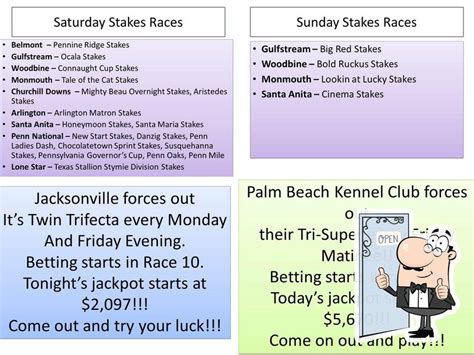 Dog track tampa TGT Poker & Racebook formerly Lucky's Card Room at Tampa Greyhound