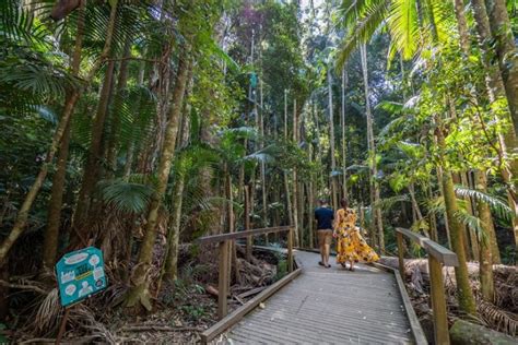 Dog walking sunshine coast  If you are on the southern end of the coast, head north on the Sunshine Coast Motorway take the exit to Sunshine Coast Airport, bypass the airport and continue on David Low Way to the coast