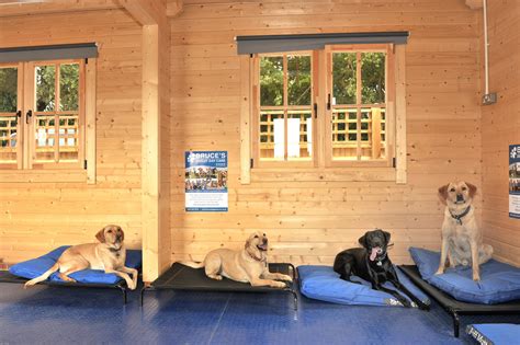 Doggie daycare nunawading  Additional Exercise Services are $12 each*