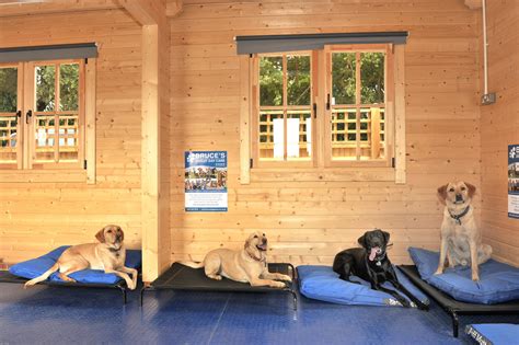 Doggy day care draper  We have robust processes and procedures in place and are ISO 9001 (UKAS) accredited