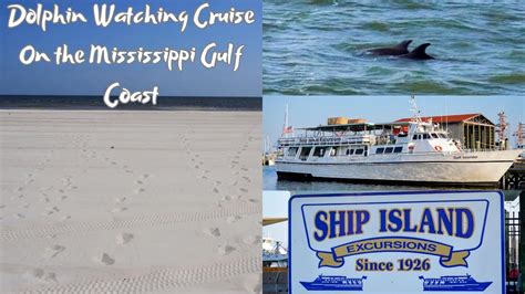 Dolphin tours in biloxi mississippi  Visit Website E-mail