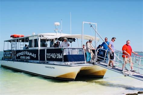 Dolphin tours in tarpon springs  6,480 likes · 32 talking about this · 9,306 were here