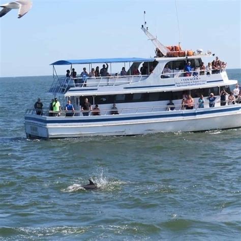 Dolphin tours north myrtle beach  About 843-280-7777