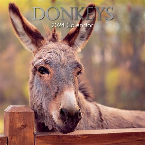 Donkey weenus  However, information regarding the situation of a Chinese donkey population under large-scale donkey