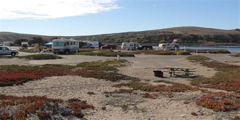 Doran beach camping 00 off per night for Seniors ( 62+ )Bodega Bay RV Park