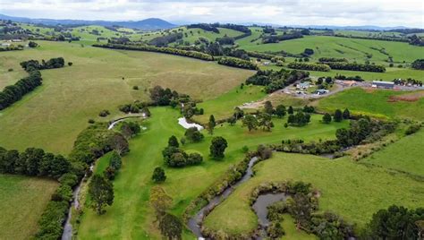 Dorrigo vets golf club  The Dorrigo Golf Club is a community run 9 hole golf course,1km from the centre of Dorrigo along Whisky