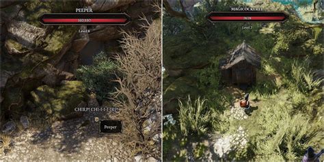 Dos2 peeper missing Highlight over mods to see their description and list of dependencies