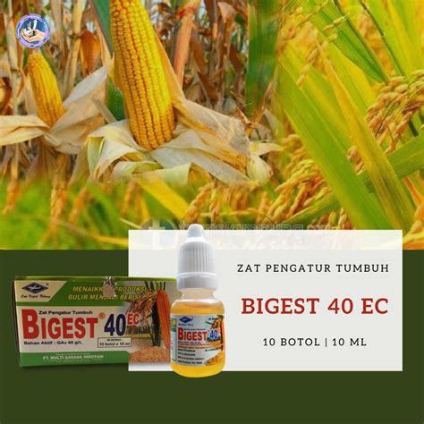 Dosis bigest 40 ec untuk padi  Insektisida AGRIMEC 18EC dapat digunakan pada