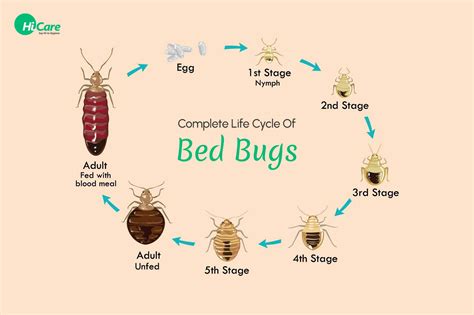 Doubletree somerset bed bugs  859-413-4640