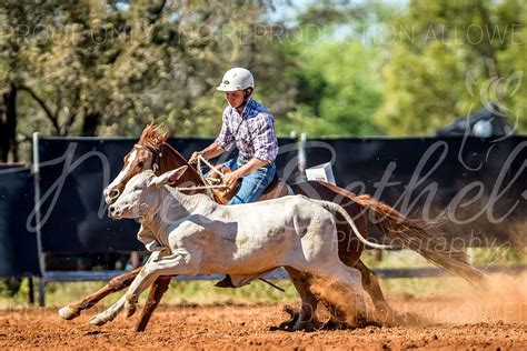 Douglas daly campdraft  2022 CHINCHILLA CAMPDRAFT Eneabba