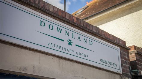 Downlands vets selsey  Call us