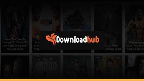 Downloadhub run  There are many other pirated websites on the Internet which are quite similar to DownloadHub